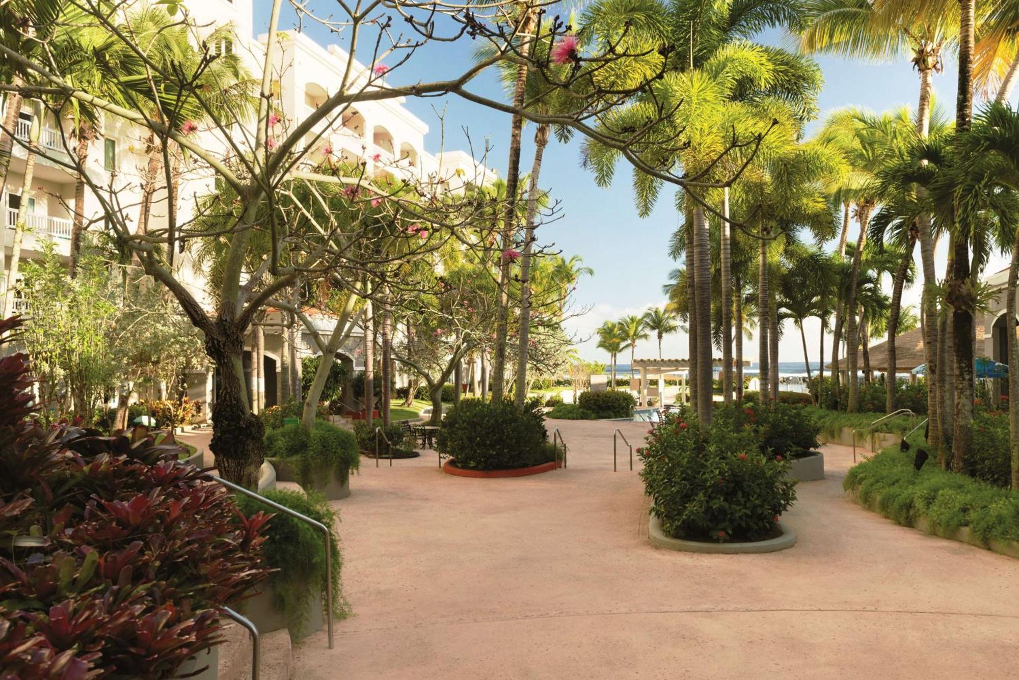 Embassy Suites By Hilton Dorado Del Mar Beach Resort Eksteriør bilde